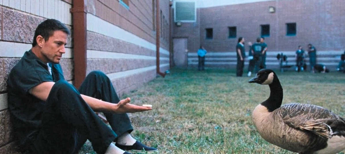 В тюрьме. Кадр из фильма «Грабитель с крыши» (2025)