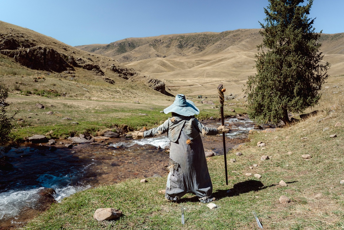    "Централ Партнершип"