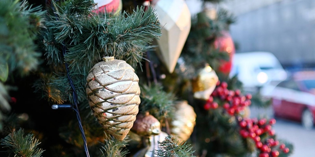 Запуск фейерверков в новогоднюю ночь запретили в 15 регионах