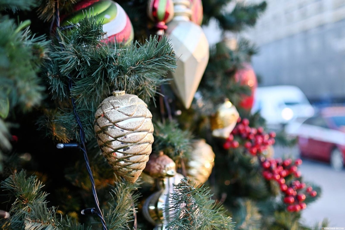 Изображение: Иван Лазебный © ИА Красная Весна