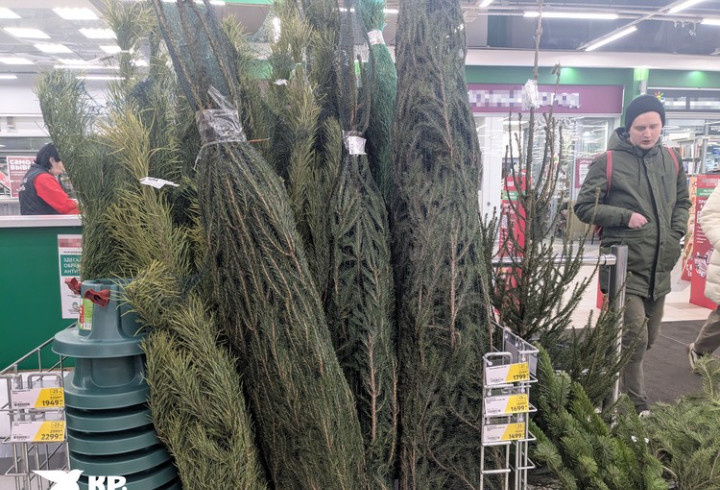 фото: Анна ГРЕНЬ