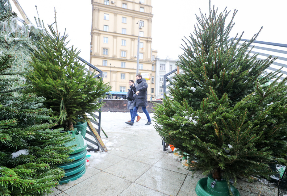    Сергей Булкин/NEWS.ru