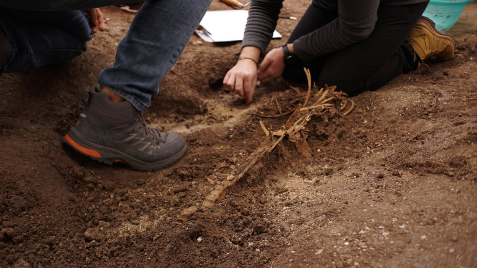    Shutterstock/FOTODOM