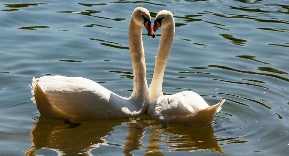    Roman Denisov/Global Look Press / www.globallookpress.com