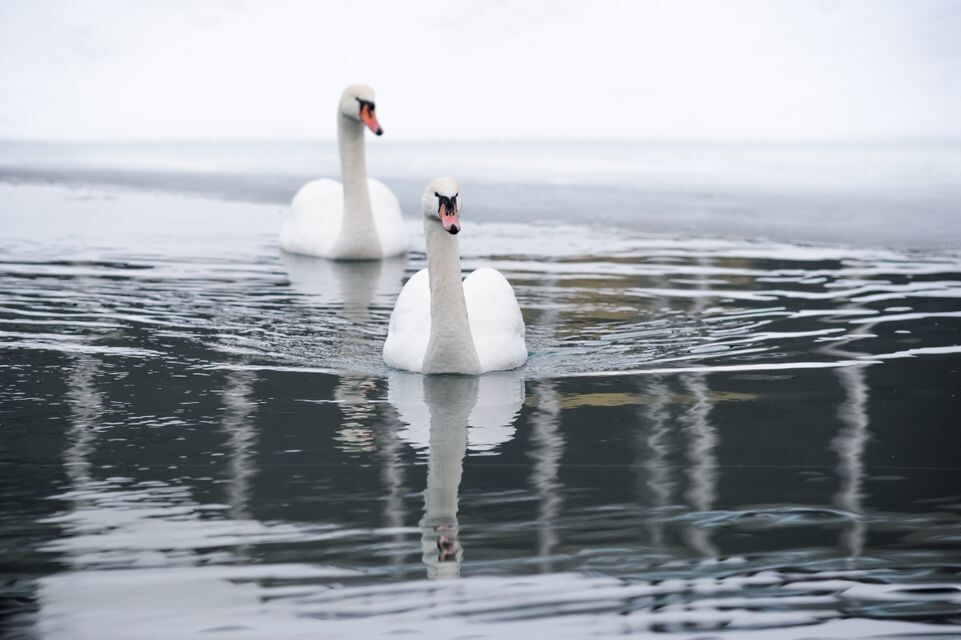    Медиасток.рф