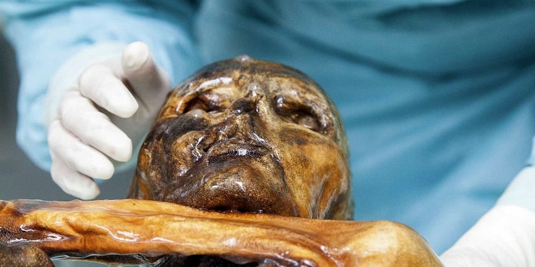 "Невидимый враг" атаковал альпийского Этци и древних людей Сибири