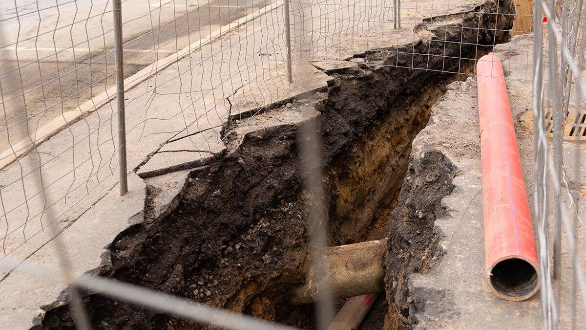    Фото: Shutterstock