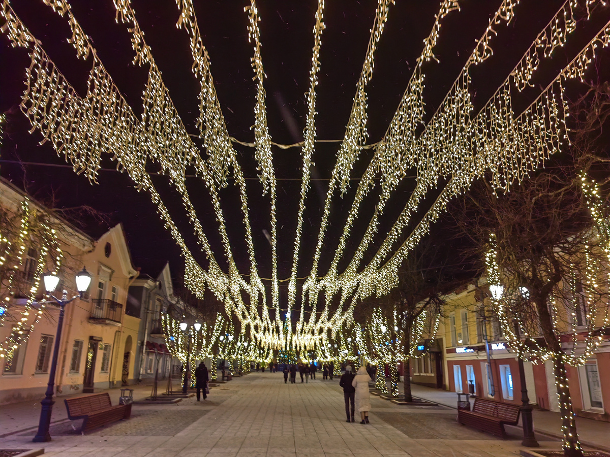 Город Гатчина Ленинградской области, улица Соборная, 22 декабря 2025 года. 