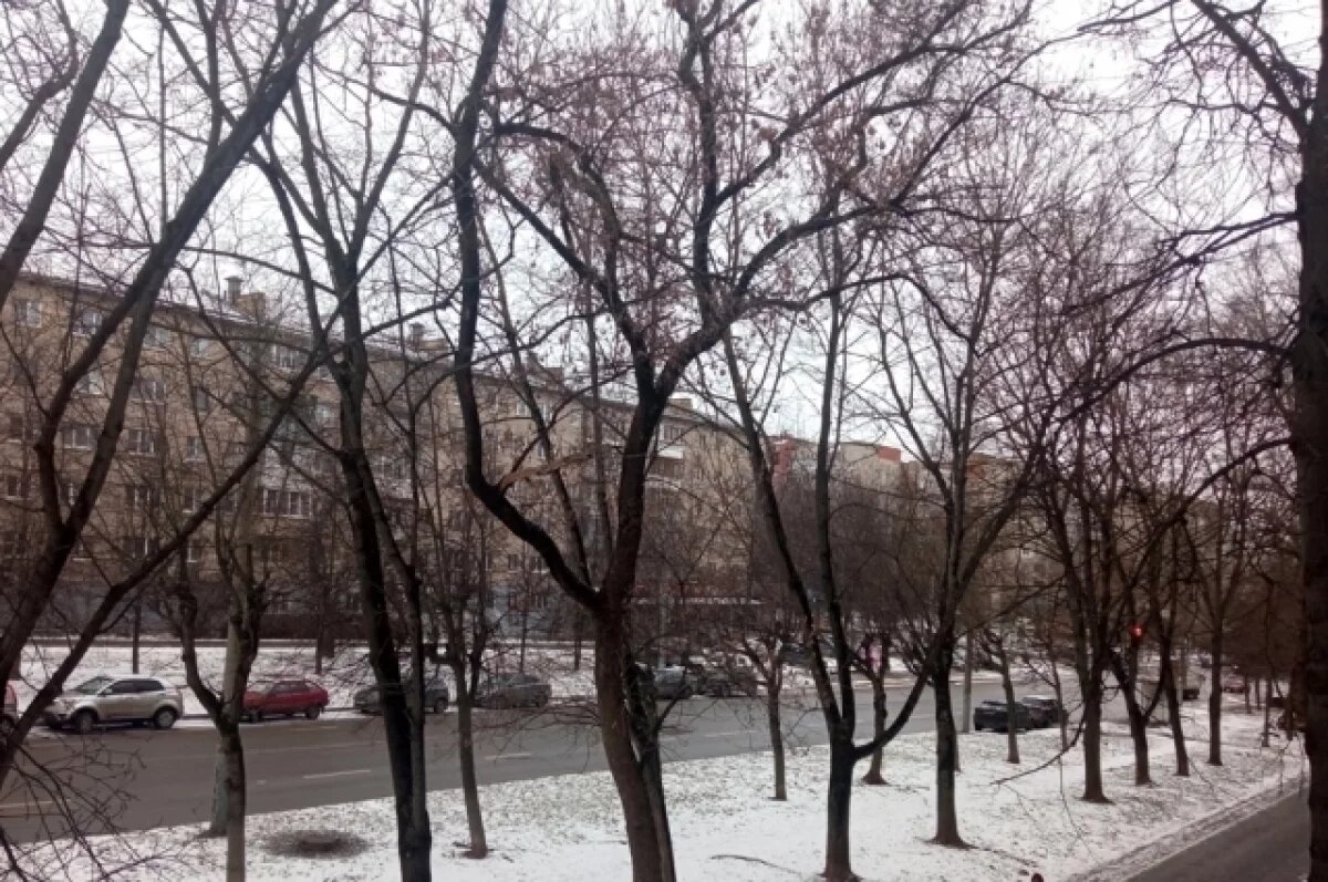    Раскатистые хлопки над Тулой совпали с массированной атакой по ВПК Украины