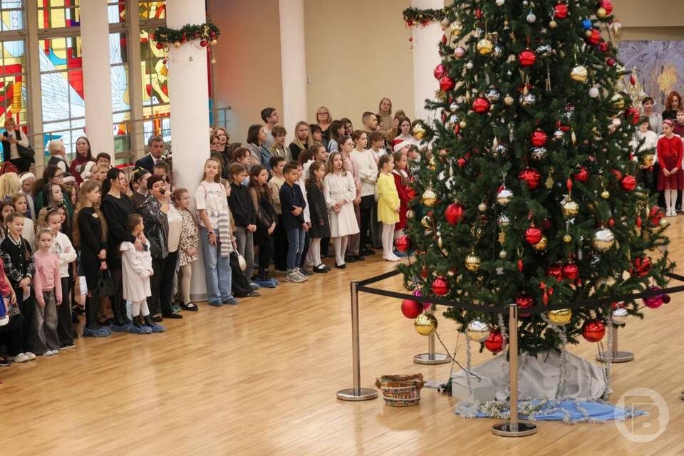    фото: Дмитрий Рогулин/"Городские вести"