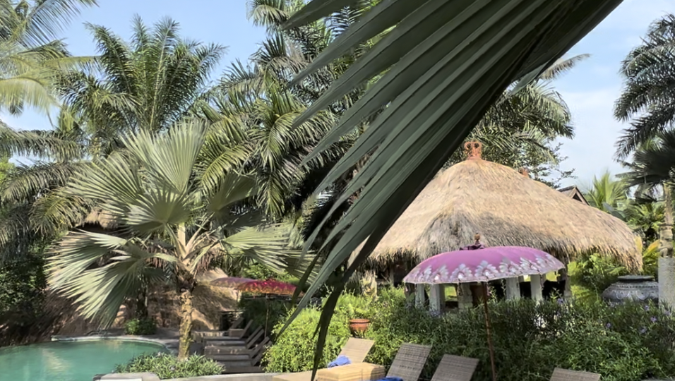 Джунгли, йога и инфинити-бассейн: что ждет вас в отеле Blue Karma Ubud?