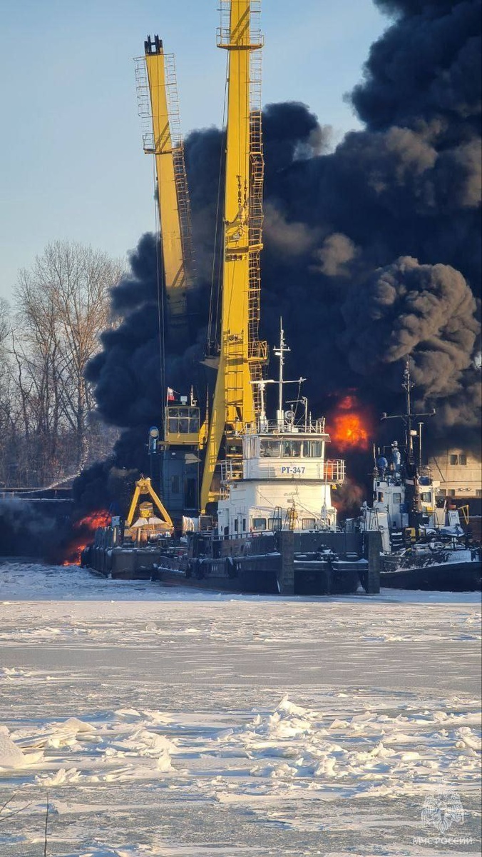    МЧС опубликовало фото пожара в Сибирском затоне под Нижним Новгородом