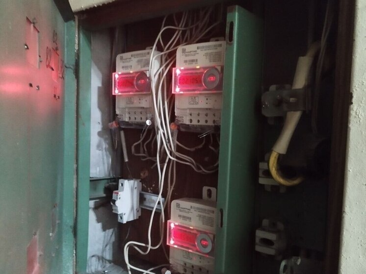     Глава региона поделился историей начальника службы подстанции производственного отделения «Ильменские электрические сети» Максима Алексеева. Фото: Архив МК в Великом Новгороде