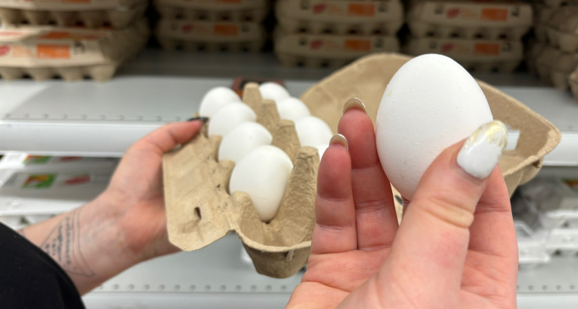    Фото progorod43.ru