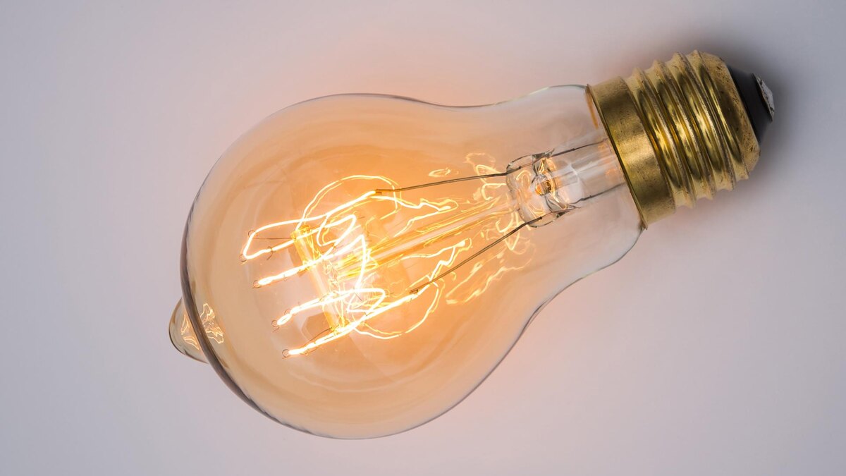    Фото: freepik.com/jannoon028