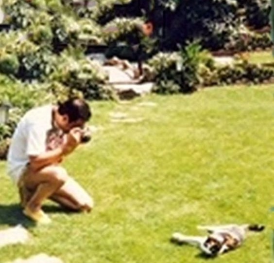 Няня кошек Фредди Меркьюри