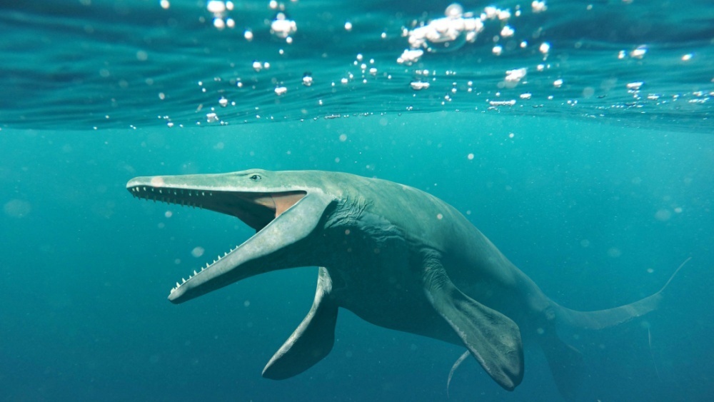     Фото: Dotted Yeti/Shutterstock/FOTODOM