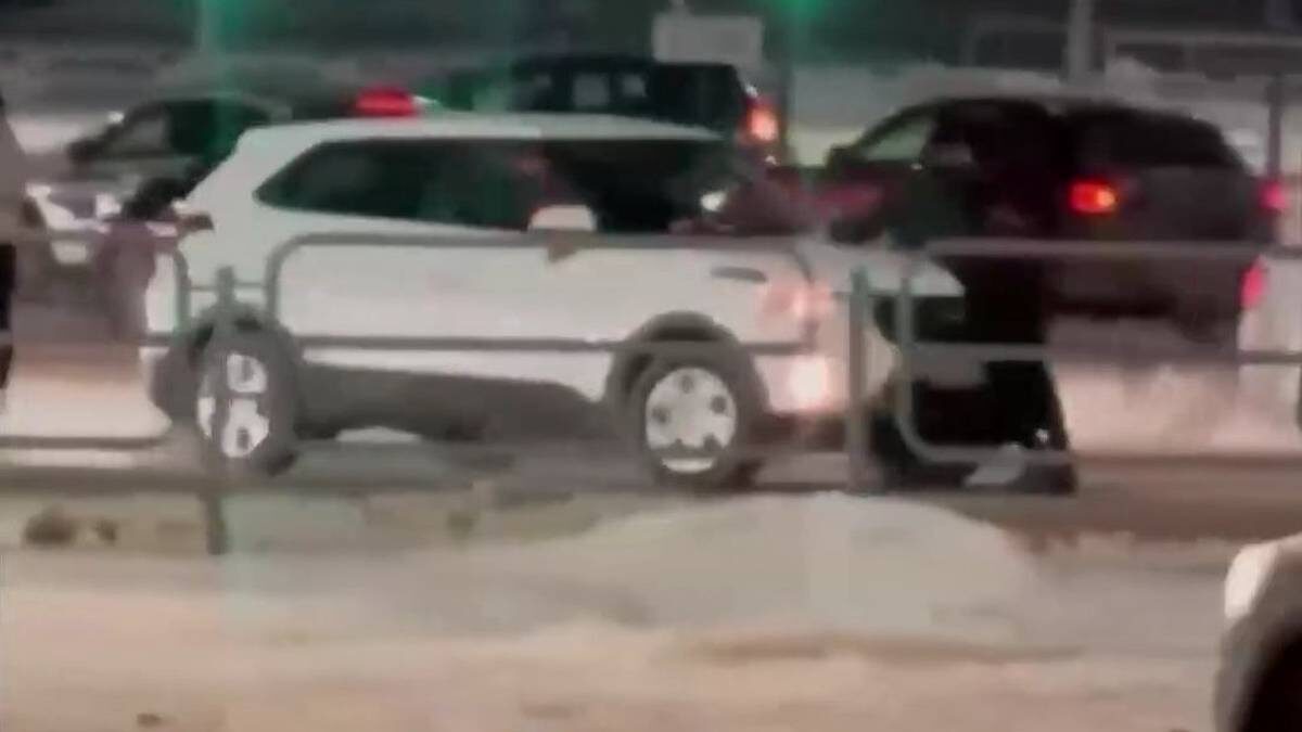    Фото: Скриншот видео / Baza / Telegram