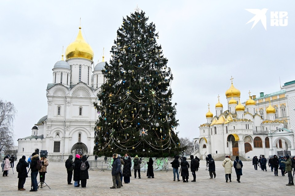   Владимир ВЕЛЕНГУРИН