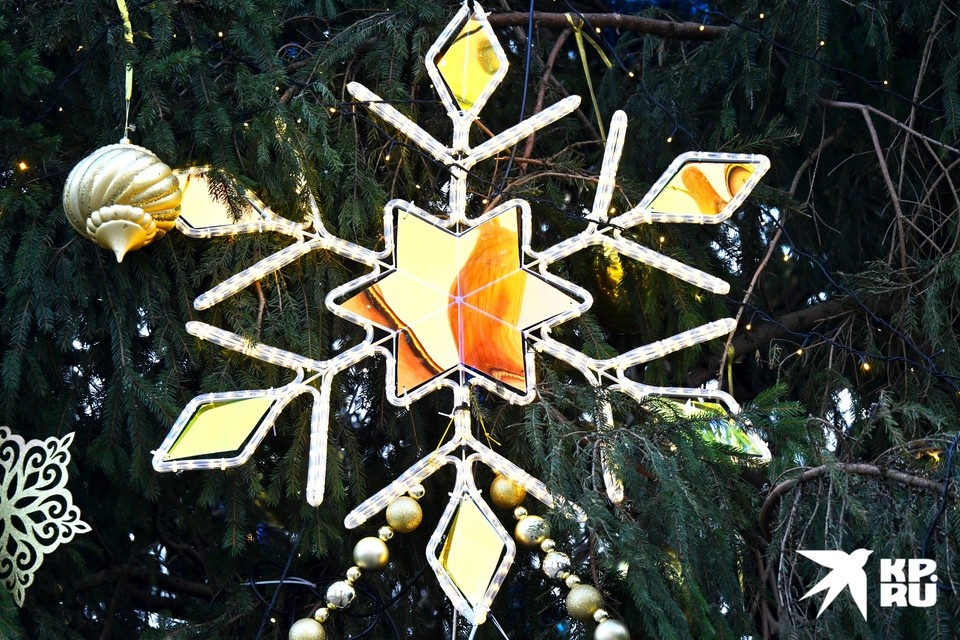   Владимир ВЕЛЕНГУРИН