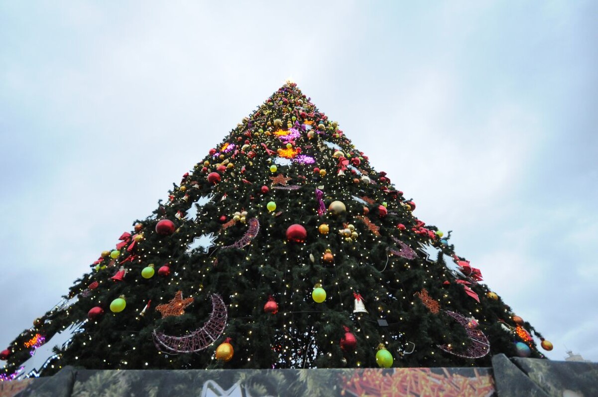    Фото: Александр Зинченко