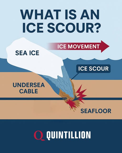    Источник изображения: Quintillion