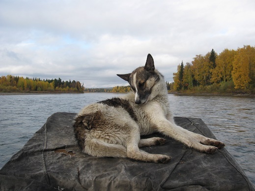 Бог молчит.Часть 28