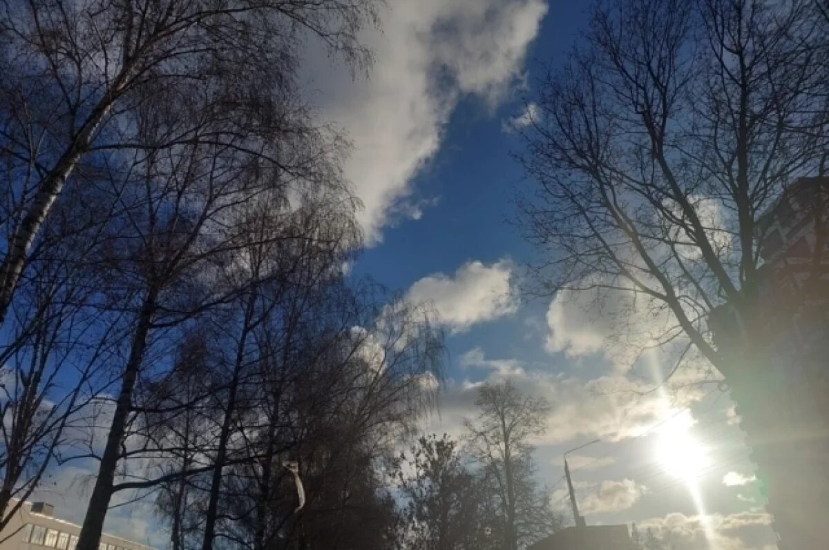    Тульскую область в течение нескольких дней ждут мороз, оттепель и снегопады