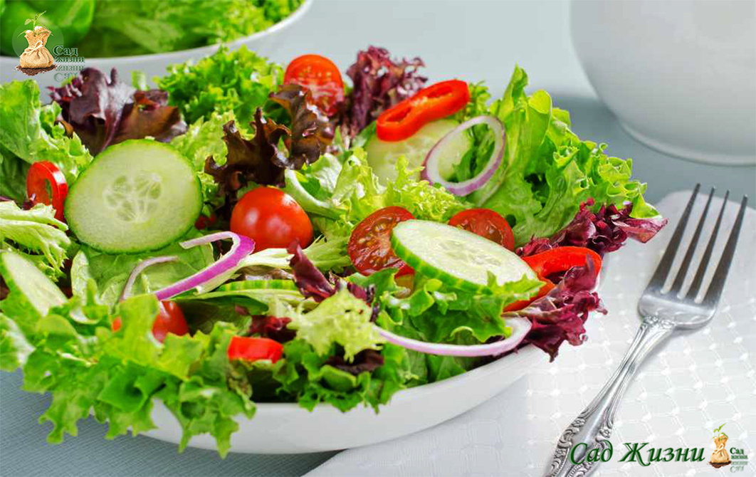 Почему на празднике мы едим больше, чем хотим