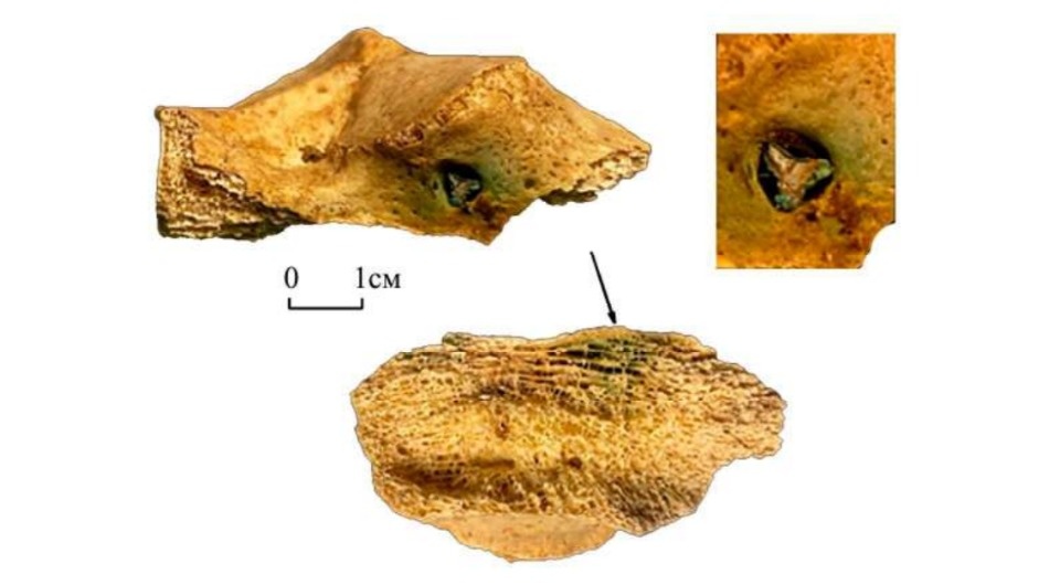   Виолетта Гусева и др. / Проблемы истории, филологии, культуры, 2025