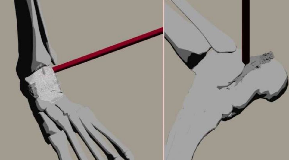   Виолетта Гусева и др. / Проблемы истории, филологии, культуры, 2025