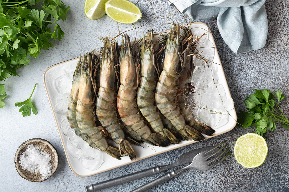 Shutterstock📷Тигровые креветки в длину могут достигать до 30 см