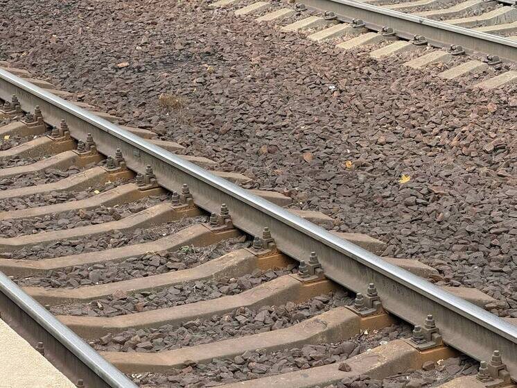     Фото: архив «МК в Калининграде».