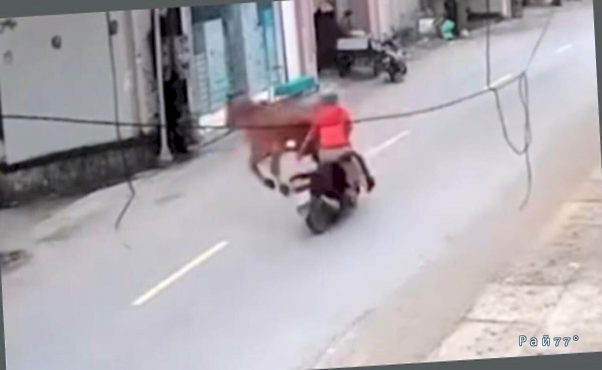   Фото - скриншот с видео, снятого на месте происшествия