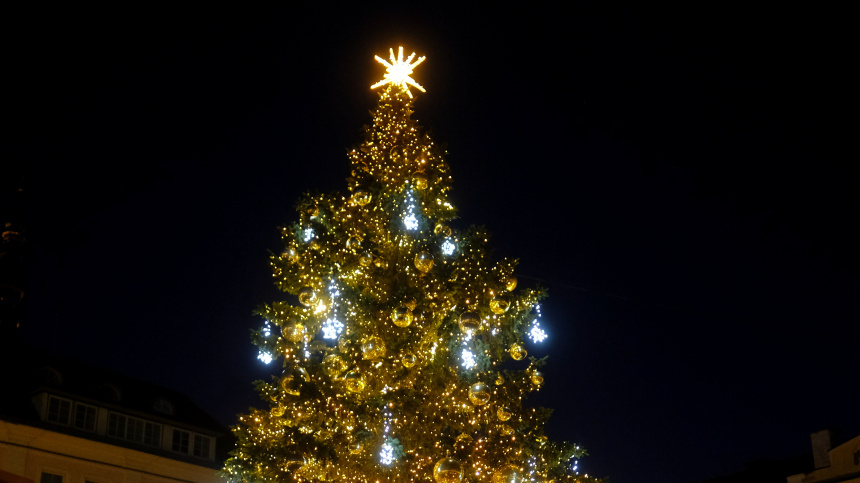    Фото: EPA/ТАСС; 5-tv.ru