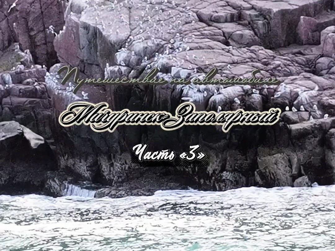 Скалистый берег Териберки с отдыхающими птицами.