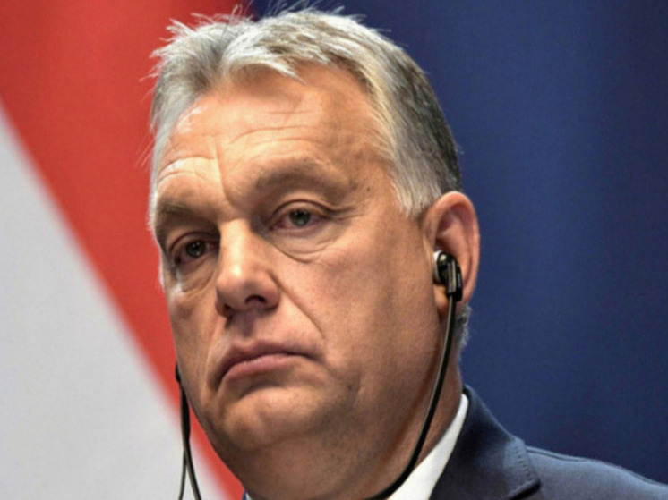     Фото: Kremlin Pool/Global Look Press