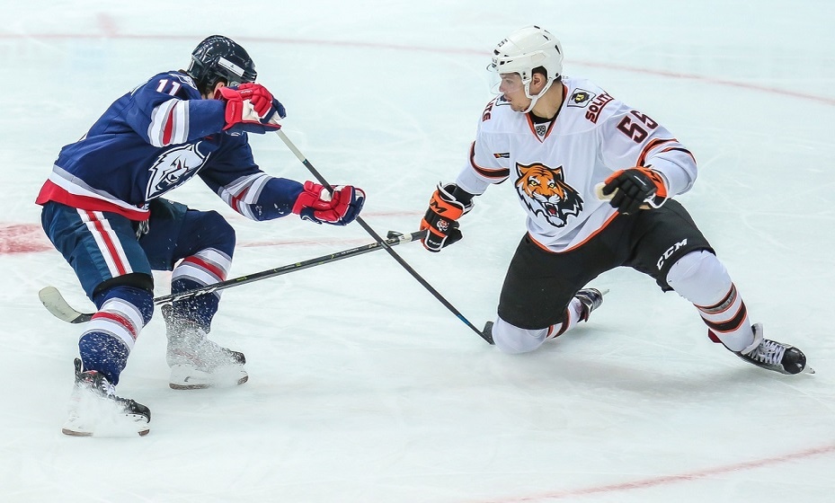    Амур Фото: ХК «Нефтехимик»