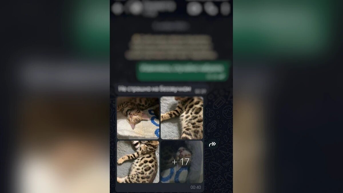    Фото t.me/mvd_23