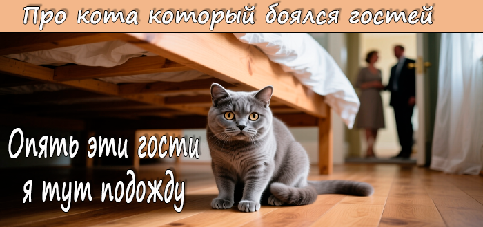 Кошка боится гостей
