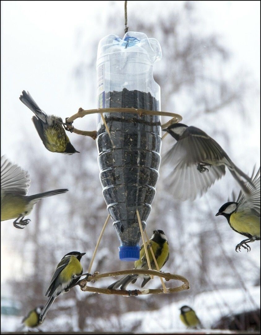 Изображение взято с сайта Пинтерест