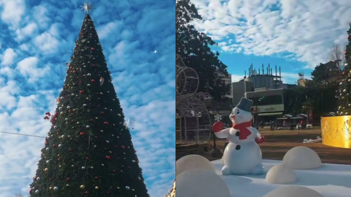 коллаж: МЦУ Сочи  📷
