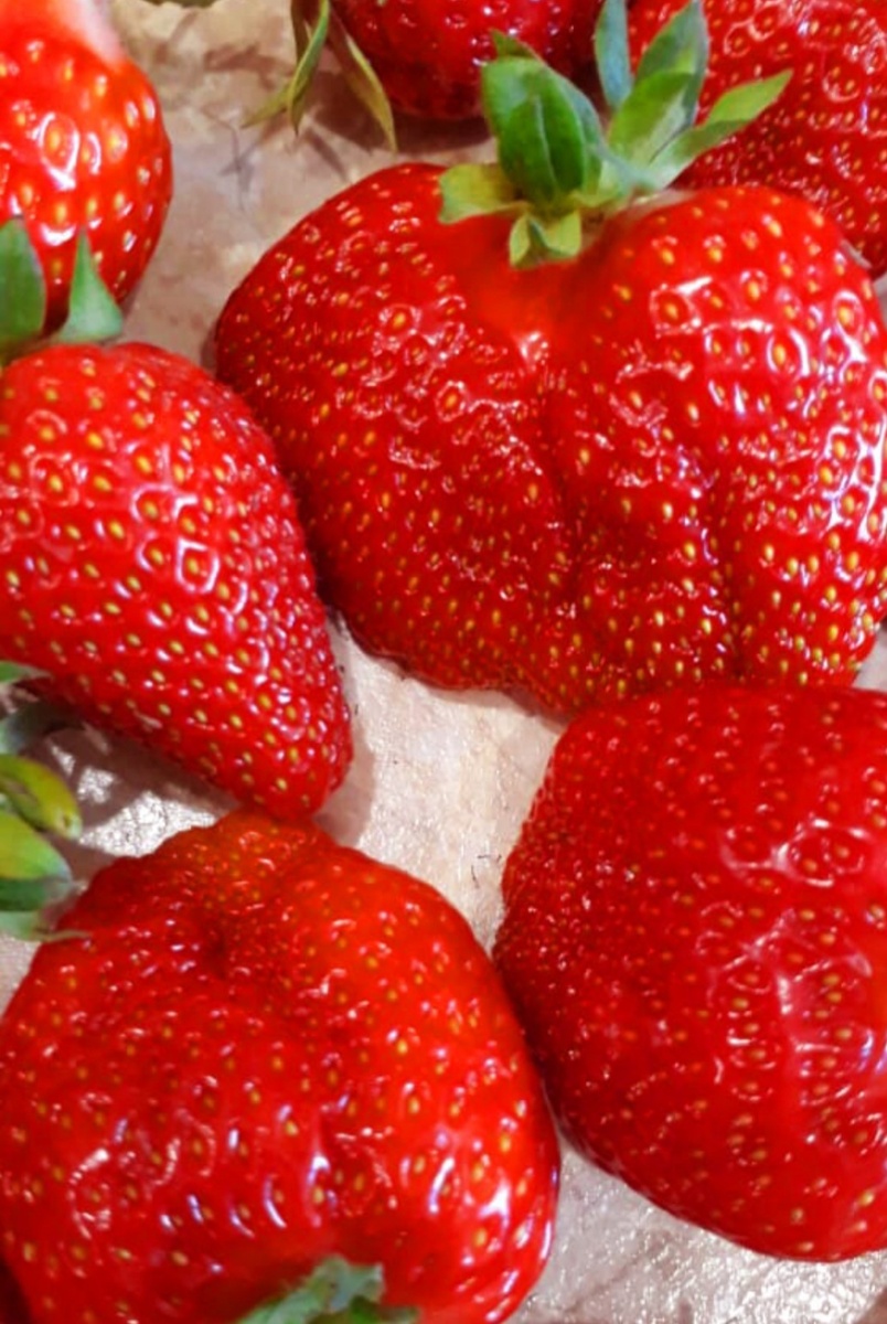 Своя клубника.