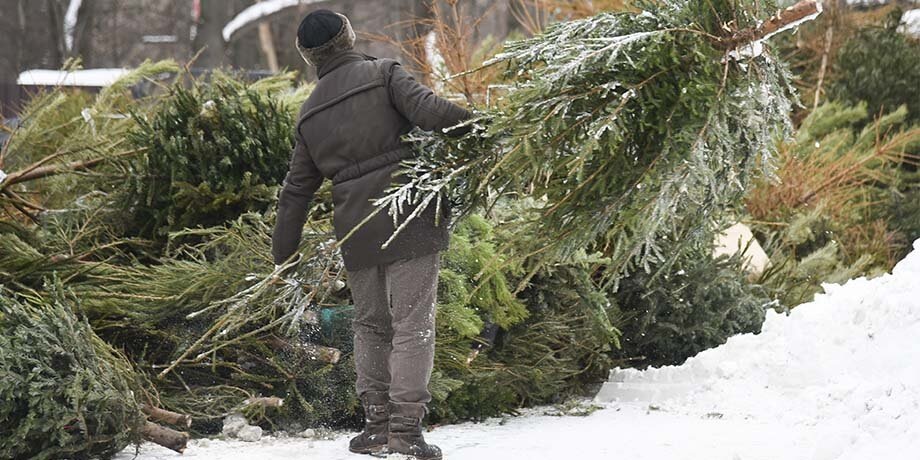   Фото: Москва 24/Никита Симонов