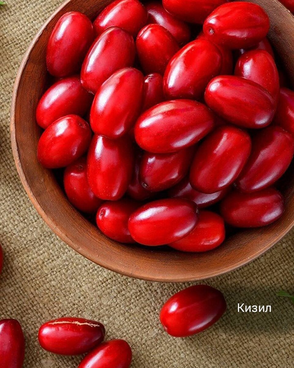 Кизил фото описание