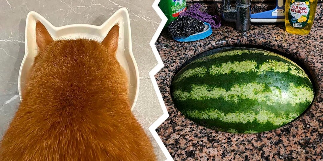 18 мгновений, когда реальность сыграла в постановку — и получилось идеально