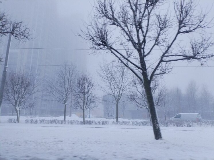     Маршрут пролегает от Пулковского шоссе до проезда № 6. Фото: архив МК в Питере