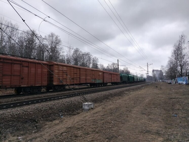     Лесные грузы показали рост в 1,8 раза. Фото: Архив МК в Великом Новгороде