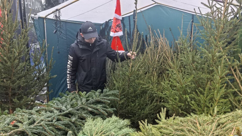 Фото: пресс-служба администрации Сочи