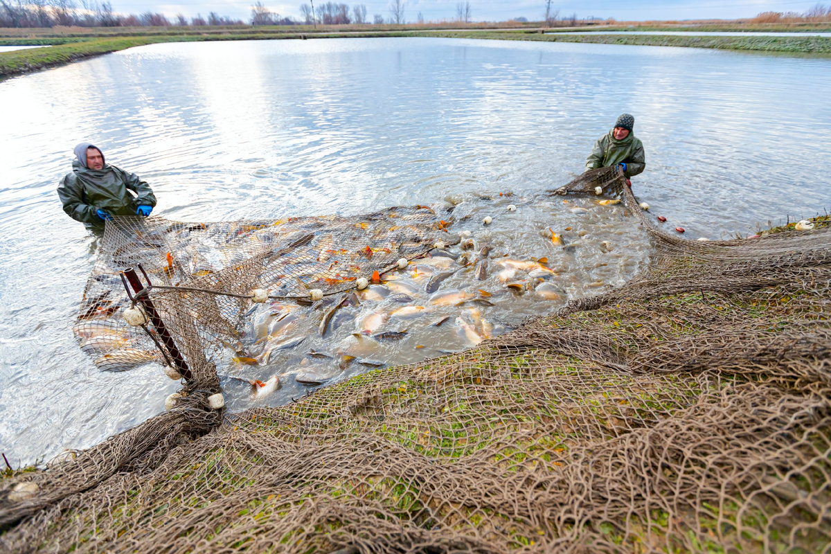 Фото: Roman023_photography/Shutterstock/Fotodom